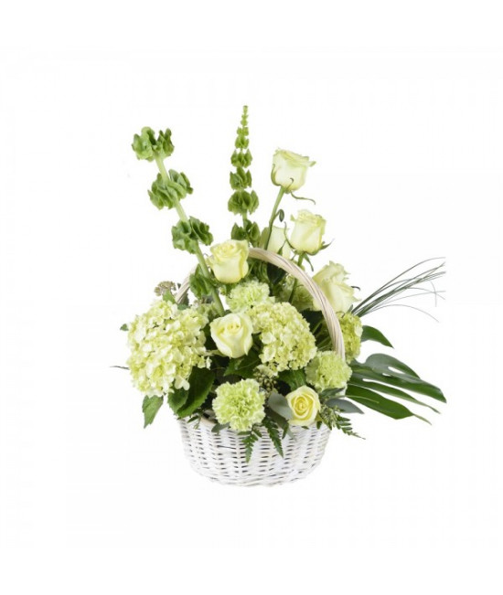 Le panier tout en vert